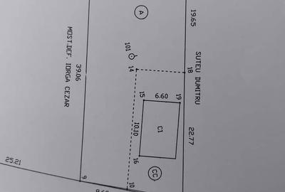 Casă cu 3 camere cu Teren 731 Mp în Plopu - 3