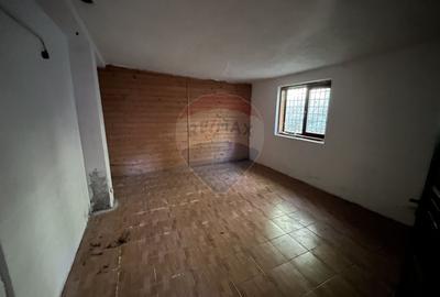 Spatiu comercial si casa de vanzare in Furnicosi. - 3