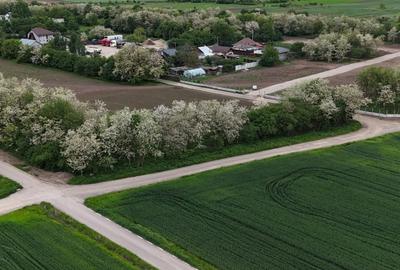 Vand Teren UNIIC Zona Nord Grădiștea 15744 Mp 4 Deschideri intravilan OCAZIE - 8