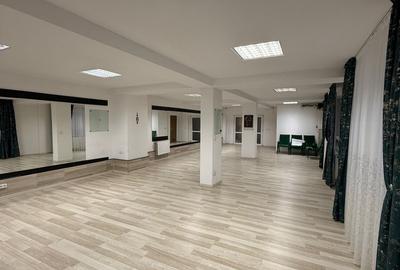 Doamna Ghica aproape de rond Doamna Ghica si Parc Plumbuita - 3