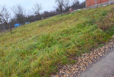 Teren de 600 MP cu utilități trase (curent, apa, canalizare) - 3