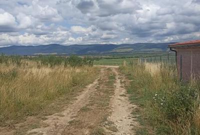 De vanzare teren extravilan in Valea Crisului - 8