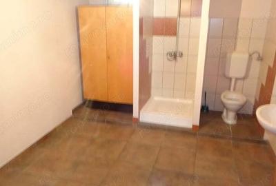 Inchiriez restaurant si crama in Deva, Politia Municipiului (CASA PAMI), D + P, mobilat, utilat - 7