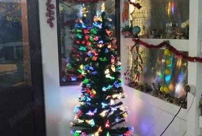 Cazare revelion , cabana , vila , capacitate 14 persoane - 10