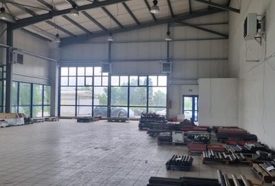 Afumati, showroom 550 mp la DN2 - 3