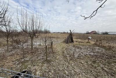 Casă cu 3 camere în Filipești - 2