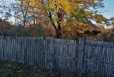 Teren Construcții intravilan de 5296 mp, în Cuca - 5