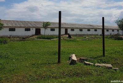 Spațiu comercial, de 484 mp, în Speriețeni - 3