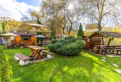 Casă cu 10 camere cu Teren 7600 Mp în Rucăr - 12