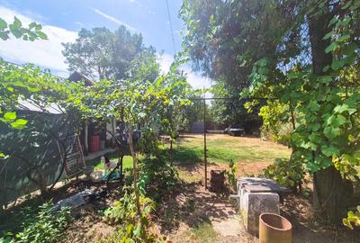 Casa , teren intravilan Urlueni Barla Arges - 15