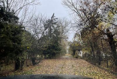 Teren investiție, de 90,000 mp, în Dridu - 4