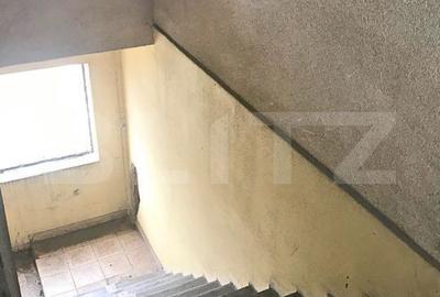 Spațiu comercial, de 549 mp, în Ulmi - 12