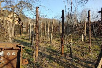 Casă cu 3 camere în Licurici - 6