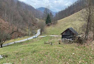 Spațiu comercial, în Remeți - 9