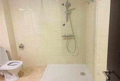 Colentina -Carrefour, smart home, ,mobilata si utilata - 18