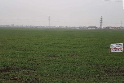 Teren Construcții intravilan de 8400 mp, în Roznov - 1