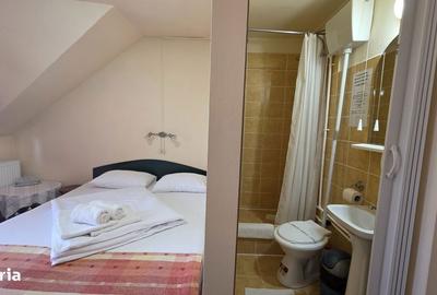 Casă cu 4 camere în Băile Felix - 12