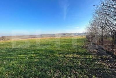 Teren de 13000 mp, în Central