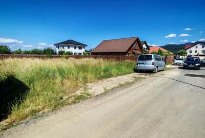 Teren Construcții intravilan de 650 mp, în Cristian
