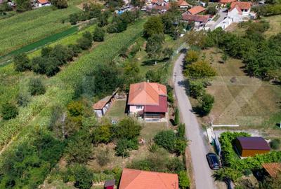 Casa de vanzare in Rovina(Branisca) - 13