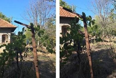 Casă cu 2 camere cu Teren 1703 Mp în Odobești - 5