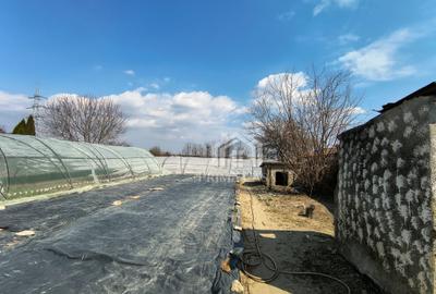 Casă cu 4 camere cu Teren 1270 Mp în Transilvaniei - 8