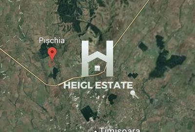 Teren de 1500 mp, în Pișchia