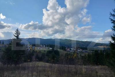 Teren de 10000 mp, în Central