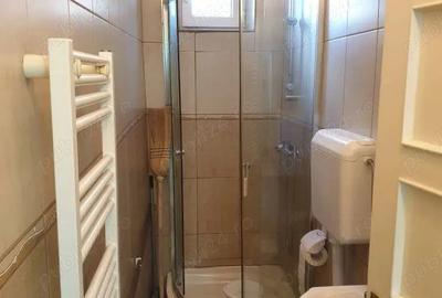 De vanzare apartament pe doua niveluri cu curte proprie - 10
