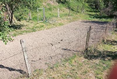 Casă cu Teren 5282 Mp în Central - 4