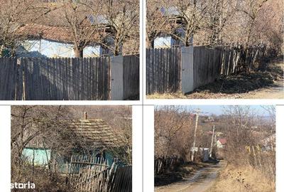 Casă cu 2 camere cu Teren 2602 Mp în Dumești - 4