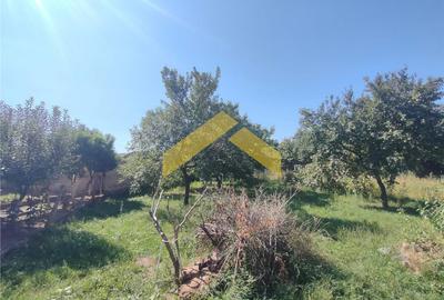 Casă cu 3 camere cu Canalizare în Pârneava - 8