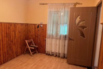Casa individuala, in cartierul Lazaret cu bucatarie de vara,terasa si acces auto - 7