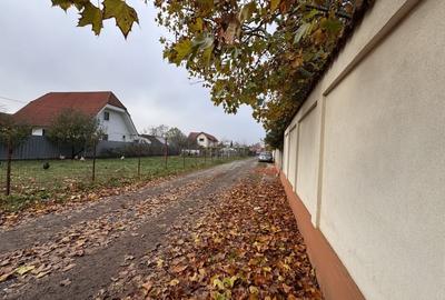 Teren deosebit in Branesti sat Pasarea ! - 1