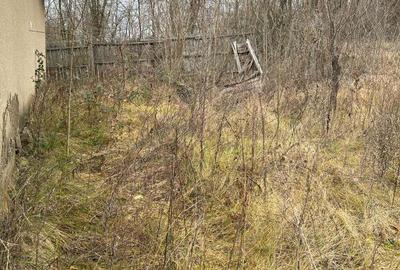 Casă cu 2 camere în Carpen - 2