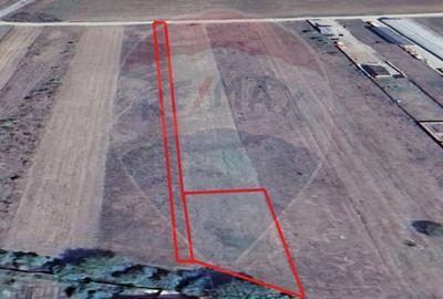 Teren Construcții intravilan de 500 mp, în Cărpiniș - 5