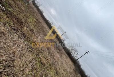 Teren de 968 mp, în Săsar - 5