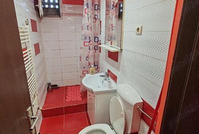 Apartament cu 2 camere nedecomandat în Central - 5