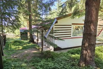 Casă cu 3 camere cu Teren 838 Mp în Central - 8