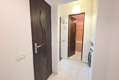 Apartament cu 2 camere decomandat, mobilat în Dristor - 9
