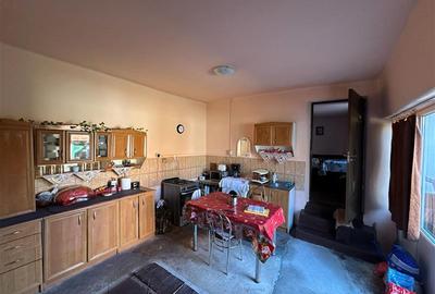 Casă individuală cu 6 camere cu Teren 1727 Mp în Sud-Est - 12