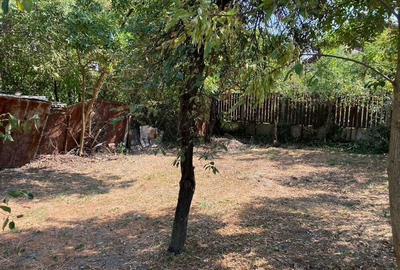 Casa cu teren in Fratelia . - 6