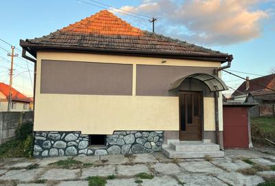 Casa 3 camere cu teren 1020mp, spre vanzare in Hamba Sura Mare SB - 11