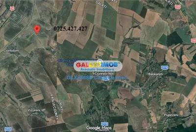 Teren de 25000 mp, în Nord - 4