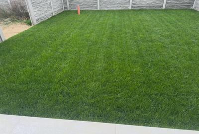 Duplex zona Mehala - 12