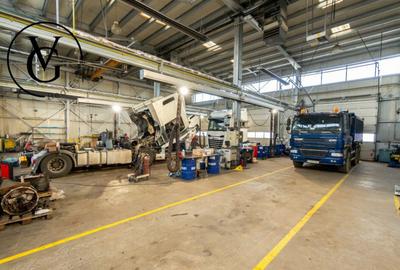 Spa?iu Industrial - Lazu - 4