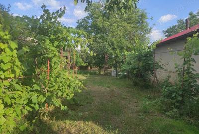 Casă cu 4 camere în Licuriciu - 1