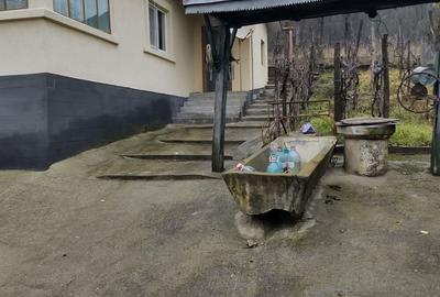 Casă în Filiași - 7