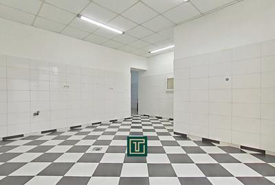 Apartament de vanzare la parter cu două intrări, Andrei Șaguna - Arad - 3