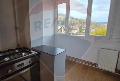 Apartament de vanzare - str. Govora, Medias - 13